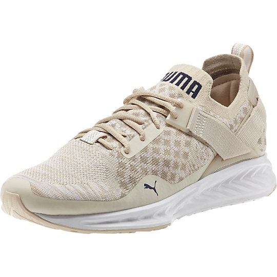 Puma IGNITE evoKNIT Lo Pavement Men's Training Shoes