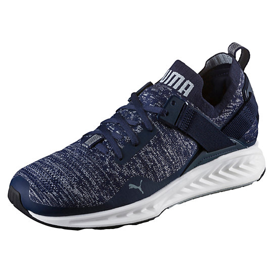 Puma IGNITE evoKNIT Lo Men's Training Shoes