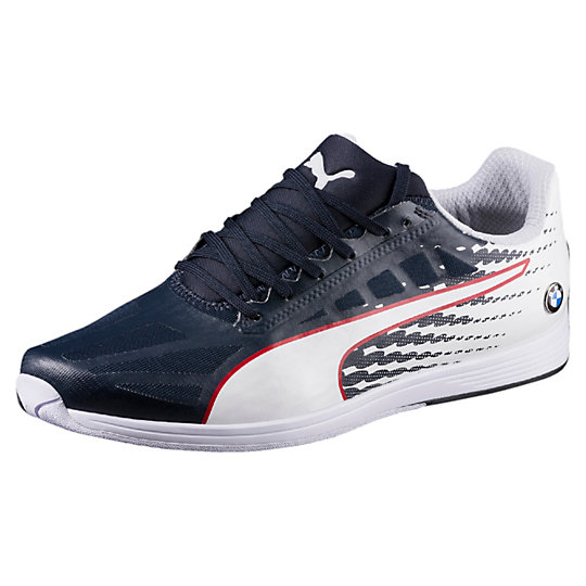 puma bmw ms evospeed